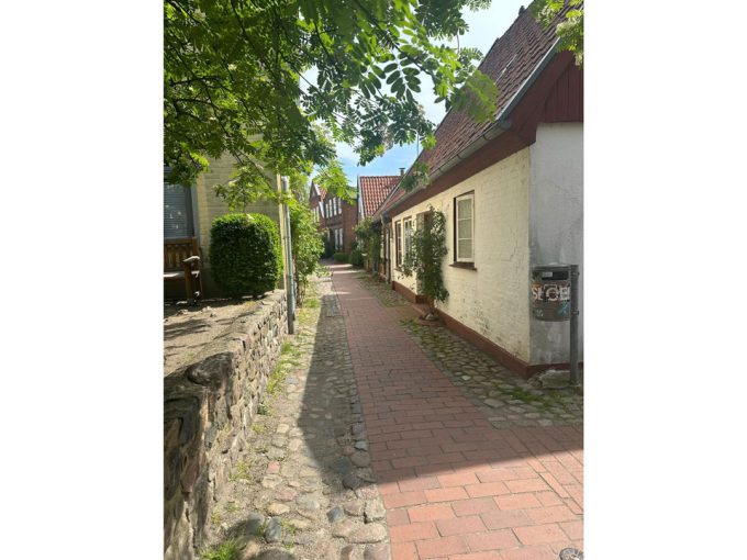 Eine schmale Straße, gesäumt von Häusern und Bäumen.